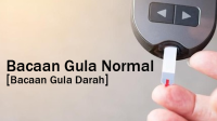 Bacaan Gula Darah Normal